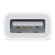 Apple Lightning to USB Camera Adapter: Picture 2 thumbnail