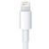Apple Lightning to 30-pin Adapter, ZML: Picture 1 thumbnail