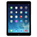 Apple iPad Air: Picture 1 thumbnail