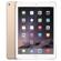 Apple iPad Air 2: Picture 1 thumbnail