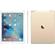 Apple iPad Pro: Picture 2 thumbnail