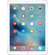 Apple iPad Pro: Picture 2 thumbnail