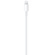 Apple USB-C to Lightning Cable: Picture 1 thumbnail