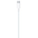 Apple USB-C to Lightning Cable: Picture 2 thumbnail