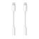 Apple 2 Pack Lightning to 3.5mm Headphon...: Picture 1 thumbnail