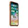 Apple Leather Case for iPhone X - Saddle...: Picture 1 thumbnail