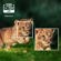 Acer QH10: Picture 5 thumbnail