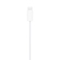 Apple Watch Magnetic Fast Charger to USB...: Picture 4 thumbnail