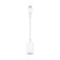 Apple USB-C to USB-A Adapter: Picture 1 thumbnail