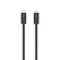Apple Thunderbolt 4 Pro Cable, 9.8': Picture 2 thumbnail