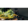 Accsoon TopRig: Picture 12 thumbnail
