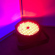American DJ Mega Go Par 64E: Picture 11 thumbnail