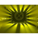 American DJ Stealth Spot: Picture 8 thumbnail