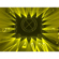 American DJ Stealth Spot: Picture 12 thumbnail