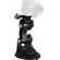 Aee Suction Cup Extended Arm Mount for S...: Picture 1 thumbnail