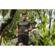 AmazFit T-Rex: Picture 5 thumbnail