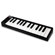 Akai LPK25 Laptop Performance Keyboard - USB-MIDI Controller: Picture 2 thumbnail