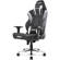 AKRacing Max Gaming Chair: Picture 1 thumbnail
