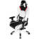 AKRacing Premium Gaming Chair: Picture 5 thumbnail
