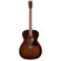 Art & Lutherie Legacy Concert Hall: Picture 1 thumbnail