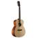 Alvarez AG60AR: Picture 2 thumbnail