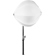 Aladdin Ball Diffuser for Bi-Flex1 & Fle...: Picture 1 thumbnail