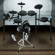 Alesis Drum Essentials: Picture 6 thumbnail