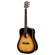 Alvarez DYM70: Picture 2 thumbnail