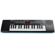 Alesis Harmony 32: Picture 1 thumbnail