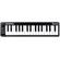 Alesis Qmini Compact: Picture 1 thumbnail