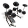 Alesis DM10: Picture 1 thumbnail