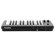 Alesis Q25 USB/MIDI Keyboard Controller: Picture 3 thumbnail