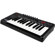 Alesis QX25 25-Key Advanced MIDI Keyboard Controller: Picture 3 thumbnail