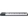 Alesis V49: Picture 1 thumbnail