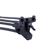 amaran F21x: Picture 34 thumbnail