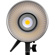 Amaran Amaran 100d: Picture 2 thumbnail