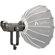 Aputure Light Storm LS 300X: Picture 1 thumbnail
