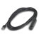 American Power Conversion (APC) NetBotz Temperature: Picture 2 thumbnail