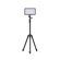 amaran Light Stand: Picture 3 thumbnail