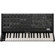 Arturia KORG MS-20 V: Picture 1 thumbnail