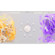 Arturia Augmented VOICES: Picture 1 thumbnail