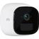Arlo Go: Picture 1 thumbnail