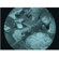 Armasight by FLIR Nemesis6x: Picture 2 thumbnail
