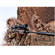 Armasight by FLIR CO-LR GEN 3P: Picture 3 thumbnail