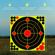 Aries Splatter Target Sticker: Picture 13 thumbnail