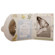 Allsop CD Gift Envelopes: Picture 3 thumbnail