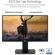 ASUS TUF VG289Q: Picture 6 thumbnail