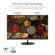 ASUS VL279HE: Picture 2 thumbnail