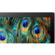 ASUS ZenPad 10: Picture 4 thumbnail
