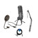Audio-Technica AT2020USB+ Cardioid Conde...: Picture 1 thumbnail